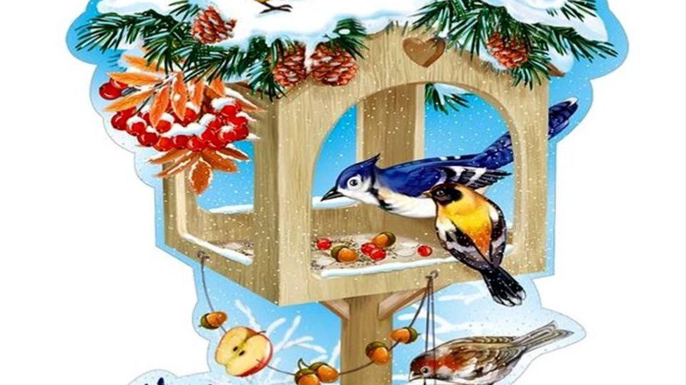 Сорока прилетела полакомиться в столовой ПОДПИШИСЬ смотреть онлайн