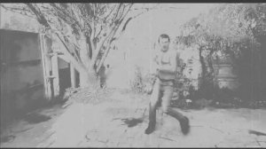 Бойные голуби Буйные люди