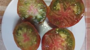 Каталог томатов на 2026 год. Часть 2. г. Киров  т. 89229284031