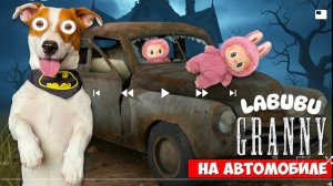 логи боби и бабушка грены