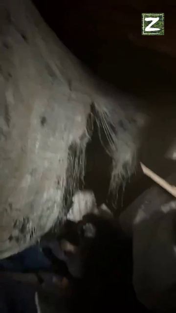 СВО смотреть онлайн