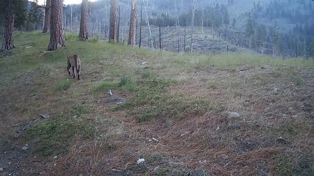 Видео с камер слежения смотреть онлайн