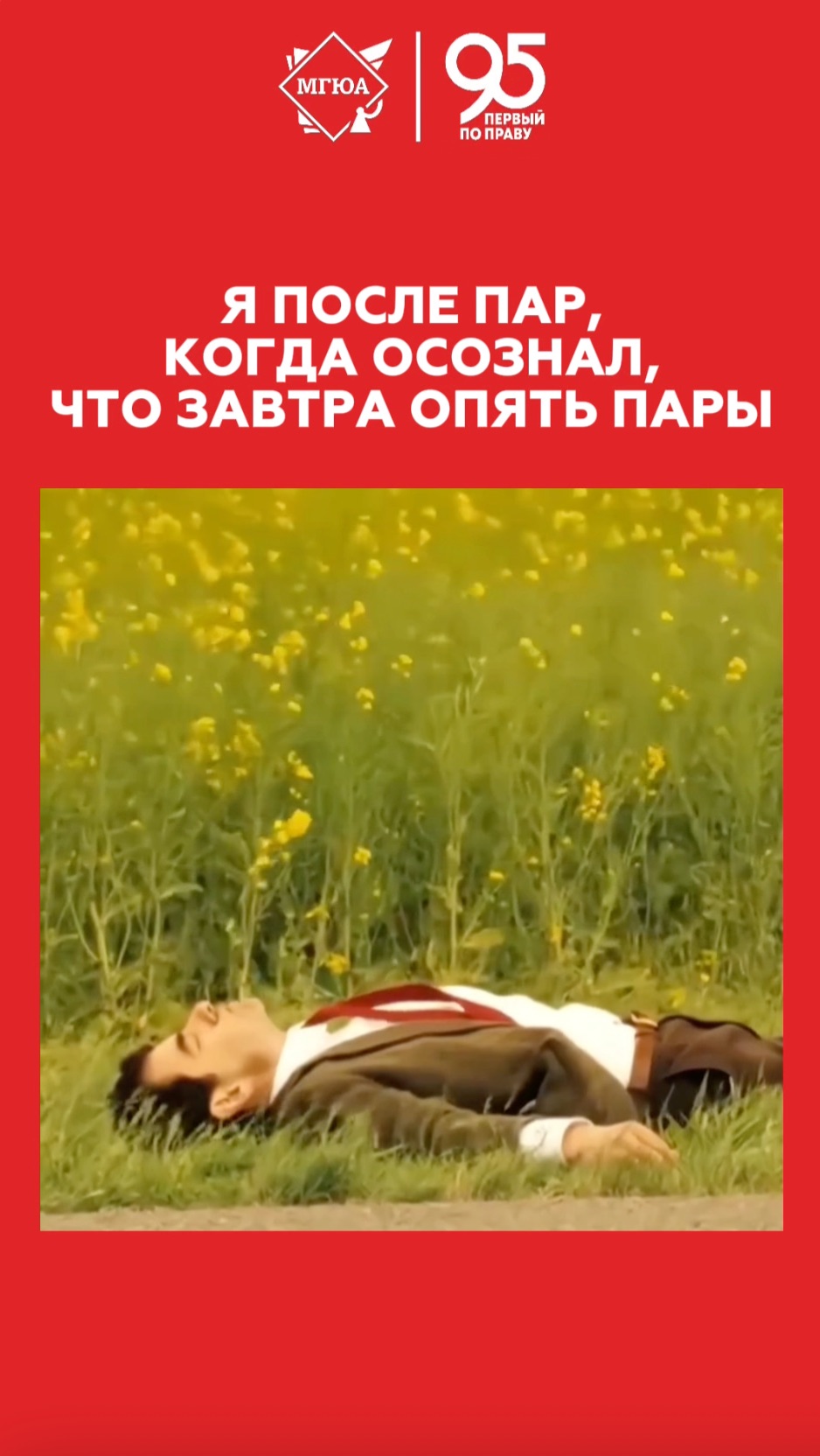 Стабильность - залог успеха 🤝 смотреть онлайн