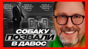 Шарий: Зеленского позвали в Давос