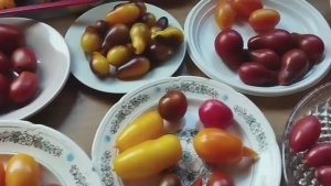 Томаты Черри, томаты Коктельного типа.  т. 89229284031