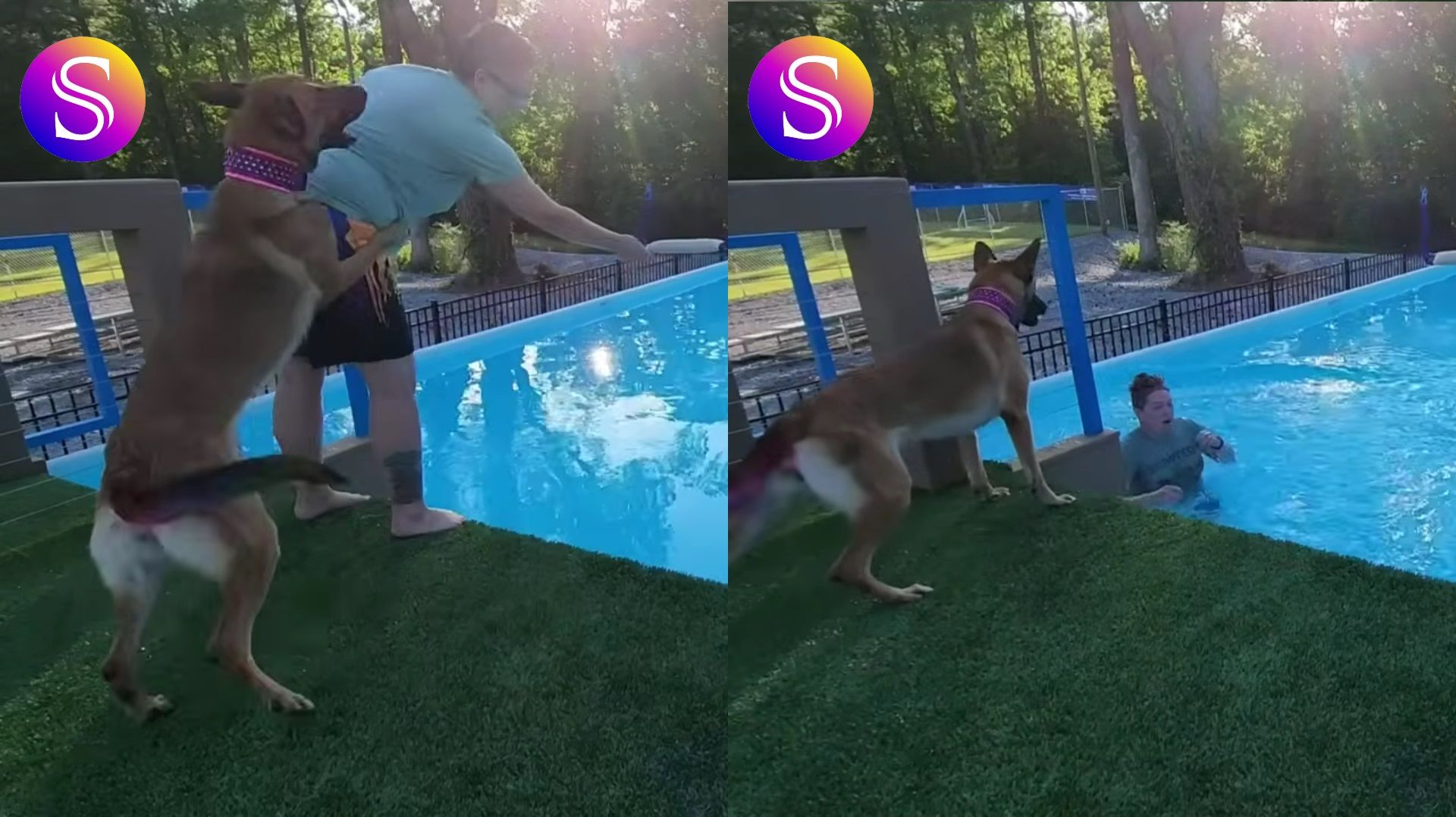 Смейтесь в голос. Самые смешные моменты 2026 год. Видео из интернета. смотреть онлайн