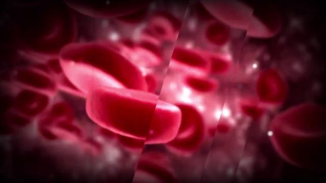 Кровь и плоть смотреть онлайн