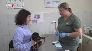 Чипирование домашних животных