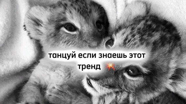 танцуй если знаешь этот тренд смотреть онлайн