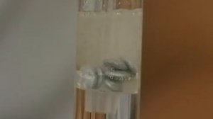 Химия 11 класс. Практическая работа №1. Опыт: Получение собирание и распознавание водорода