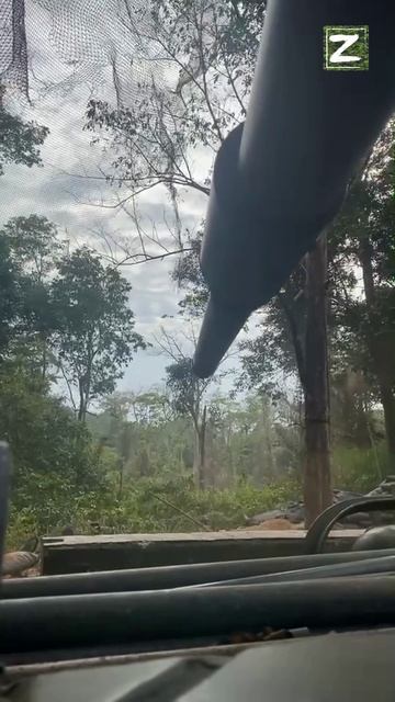 Бирма смотреть онлайн