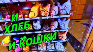 ГУЛЯЕМ В ЗОНЕ ВЫЛЕТА. АЭРОПОРТ ДОМОДЕДОВО 2025 ✈️ НОЯБРЬ.