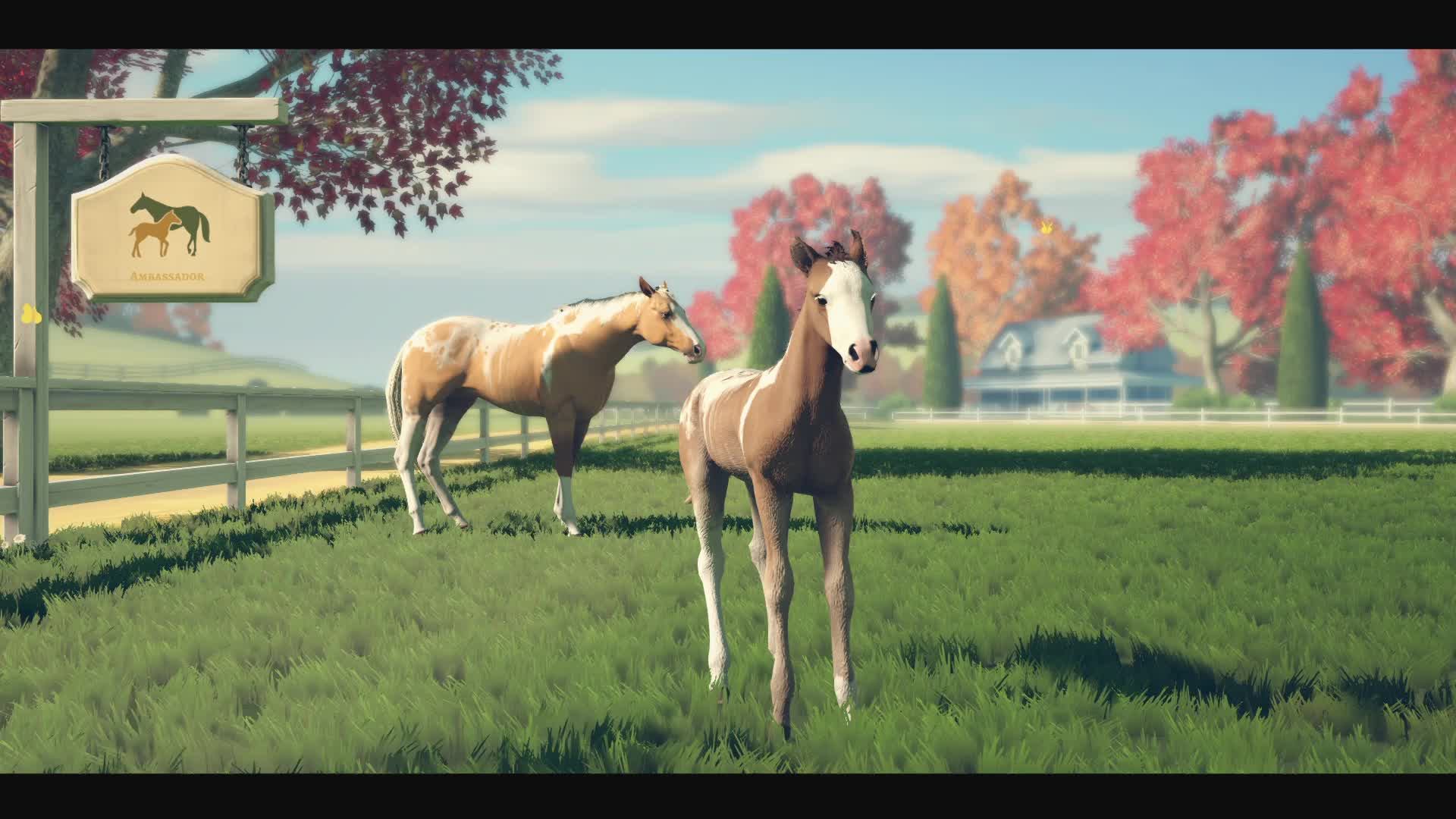 Rival Stars Horse Racing - 6. Сюжетка смотреть онлайн