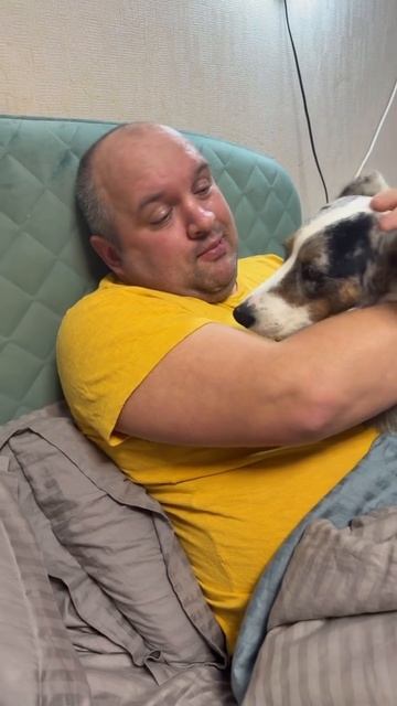 когда пришел не основной хозяин смотреть онлайн