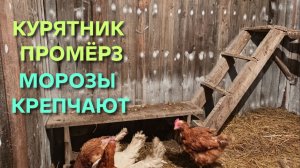Жизнь в деревне Морозы крепчают Курятник промерз Вода в башне замерзла Топим снег для воды