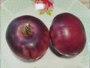 Каталог томатов на 2026 год. Новинки 2025 года. Часть 3. г. Киров.  т.89229284031