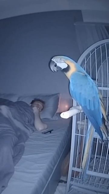 Какой-то агрессивный у вас будильник🤣🤣🤣 смотреть онлайн