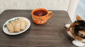 На улице мороз, а дома пельмешки и горячий брусничный морс! ❄️😋 Мася снова в деле 😎