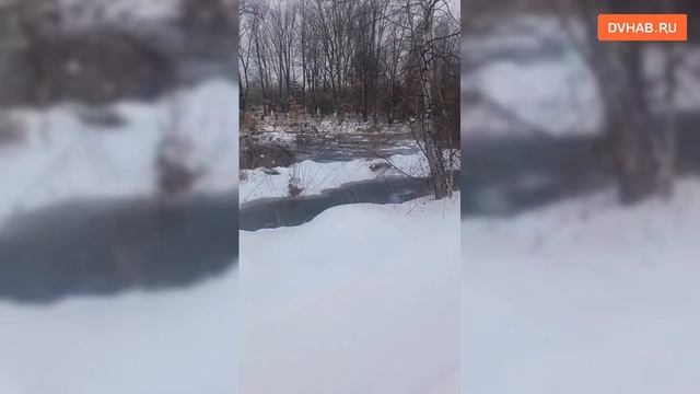 Кладбище в Гаровке затопило фекалиями смотреть онлайн