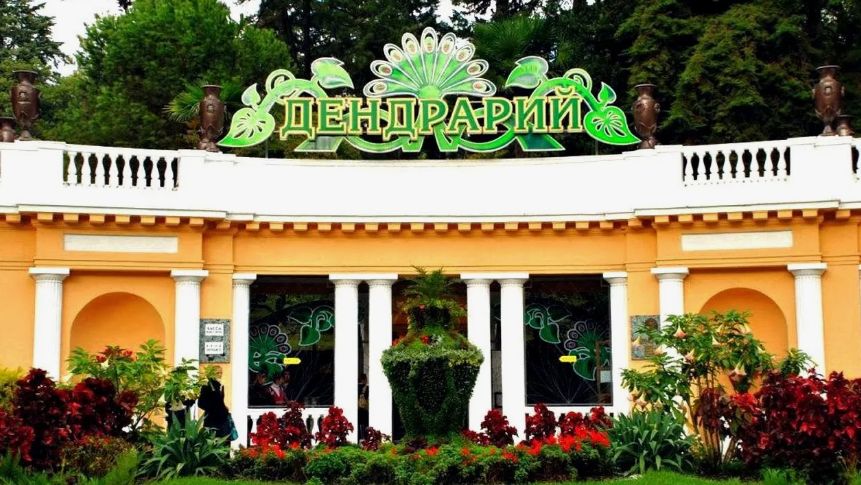 сочи, дендрарий, дендрарий сочи, сочи онлайн, сочи сегодня, сочи официальный сайт, парк дендрарий, смотреть онлайн