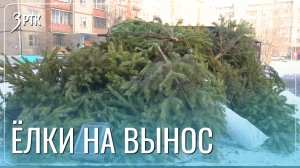 Читинцам советуют не оставлять зелёных красавиц у подъезда