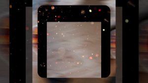 1000046689.mp4 (Собака наблюдает за устройством лестницы на 2 этаж в доме А-фрейм)