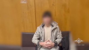 Ирина Волк: В Хабаровске полицейские задержали подозреваемого в хищении средств вдовы участника СВО