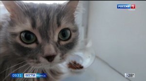 Вести-Томск, выпуск от 21.01.2026 09:30