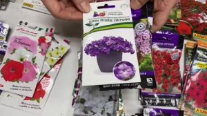 РАЗБИРАЕМСЯ С СЕМЕНАМИ ПЕТУНИИ