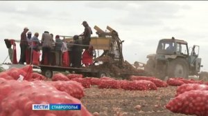 Директору фермерского хозяйства на Ставрополье вынесли приговор