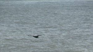 Вода и воздух