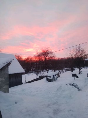 делаю уроки