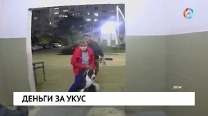 Деньги за укус