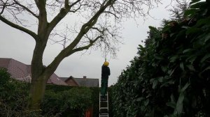 Кусторез. Обрезка деревьев