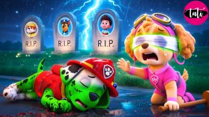 Щенячий патруль и Маршалл. Залипательное видео. Мультфильм для детей и малышей. Анимация 95