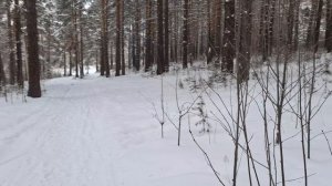 девочки что то вы засиделись дома пойдёмте гулять