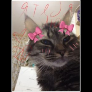 всем привет, доброе утро ❤️