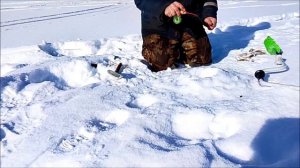 поехал на рыбалку наловил ершей в искуране. февраль 2025