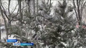 «Вести. Ставропольский край» 21.01.2026 (9.30)