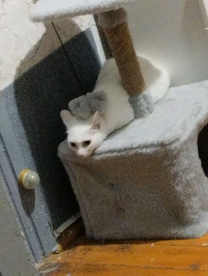 заходите здесь норм