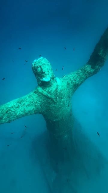 VID_20260121_193744_501.mp4 смотреть онлайн