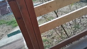 СОЧИ ГОРНОЕ ЛОО УТРО 21.01.2026