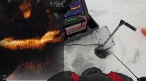 Трофейный судак на виб