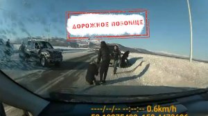 НОВОСТИ КАМЧАТКИ: ДОРОЖНОЕ ПОБОИЩЕ