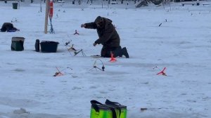 Обзор поимок на зарыблении.