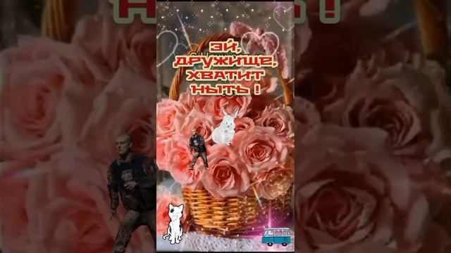 ebb94b42-cb05-48b2-b4dd-952b26aba64c.mp4 смотреть онлайн