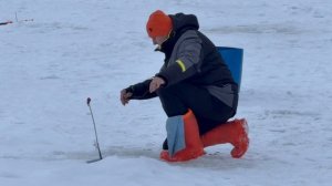 Поимки форели !!!