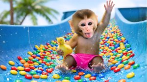Мультики для детей, обезьянка купается в бассейне с конфетами, видео про обезьянку/мультик