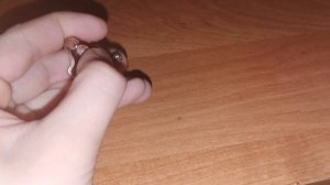 КОЛЬЦО ДЕМОНА С ОЗОНА !