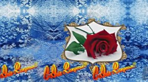 С Днём Рождения! Зимняя Сказка из Роз 1 от Киностудии Мудрого Кота Тимофея!!!